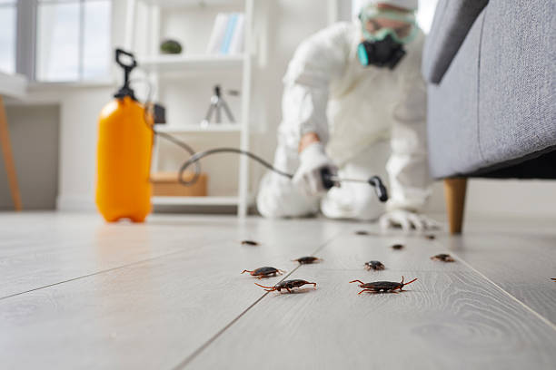 Commercial Kitchen Cockroach Control in Archie